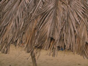 Restaurant POS System